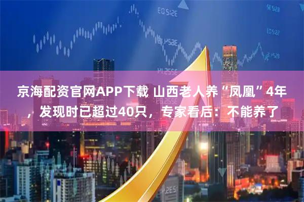 京海配资官网APP下载 山西老人养“凤凰”4年，发现时已超过40只，专家看后：不能养了