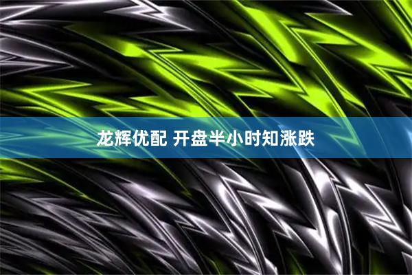 龙辉优配 开盘半小时知涨跌