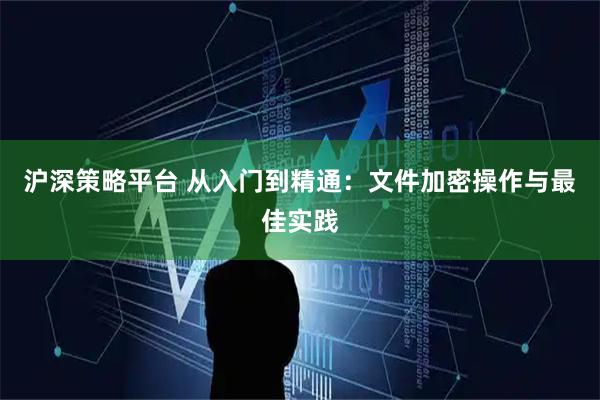 沪深策略平台 从入门到精通：文件加密操作与最佳实践