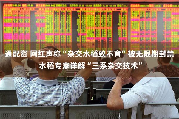 通配资 网红声称“杂交水稻致不育”被无限期封禁 水稻专家详解“三系杂交技术”